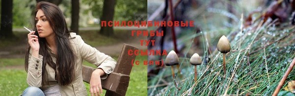 ALPHA PVP Алексин